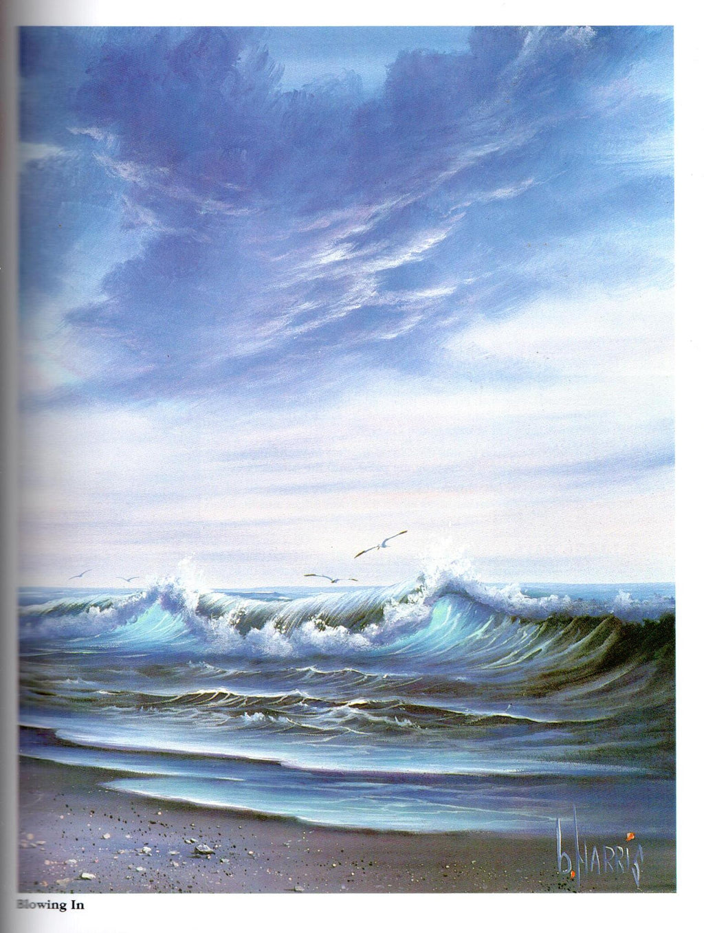The Magic of Acrylic Painting Vol. 1 - Brenda Harris