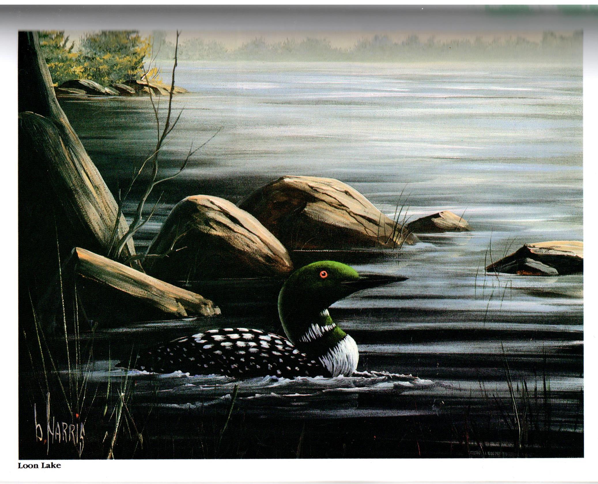 The Magic of Acrylic Painting Vol. 1 - Brenda Harris