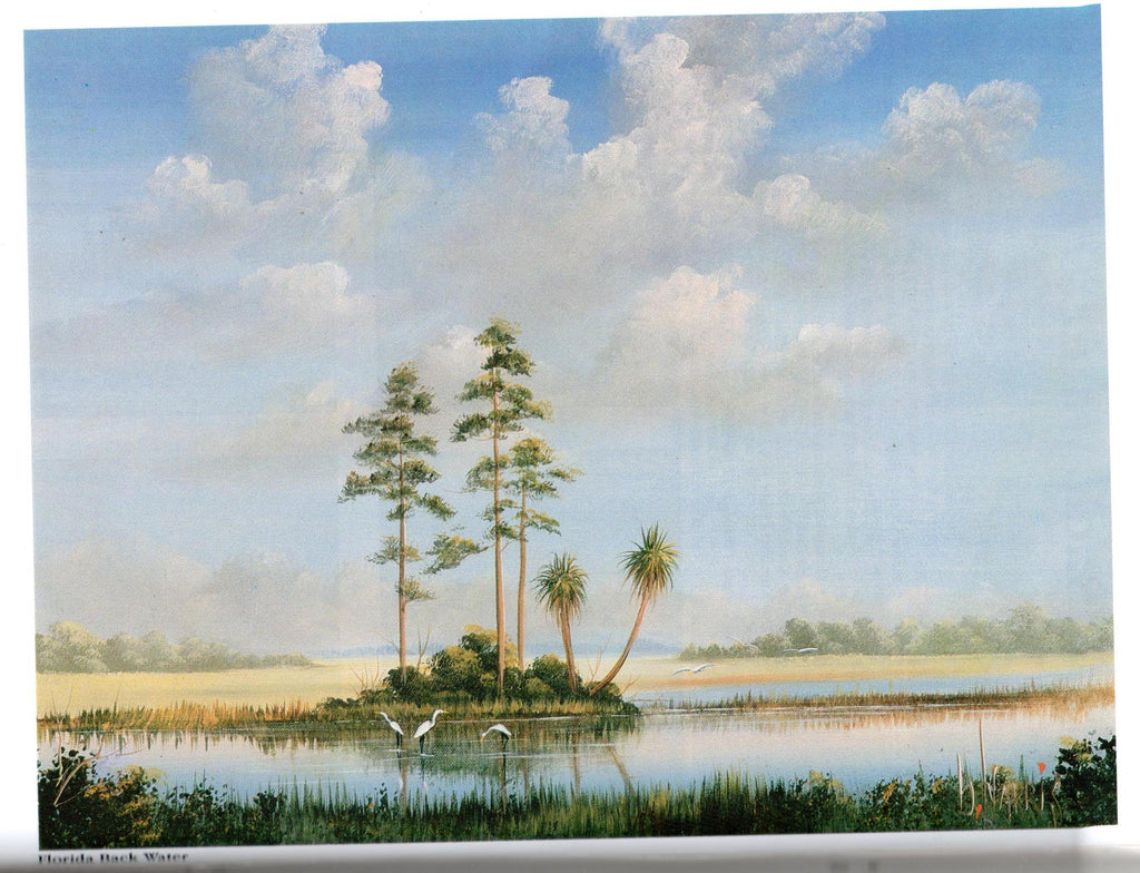 The Magic of Acrylic Painting Vol. 1 - Brenda Harris