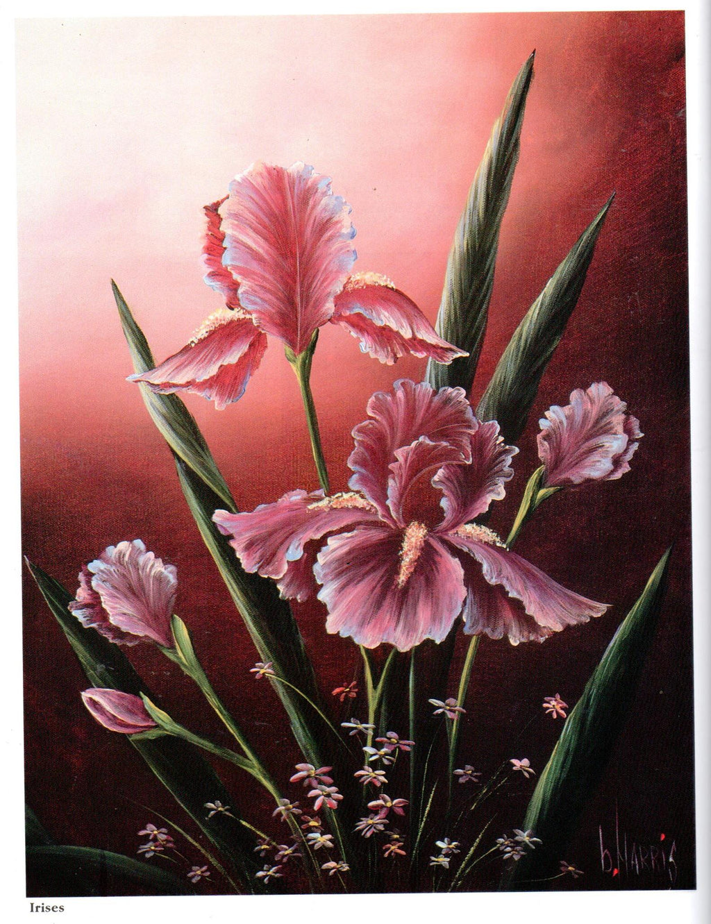 The Magic of Acrylic Painting Vol. 1 - Brenda Harris