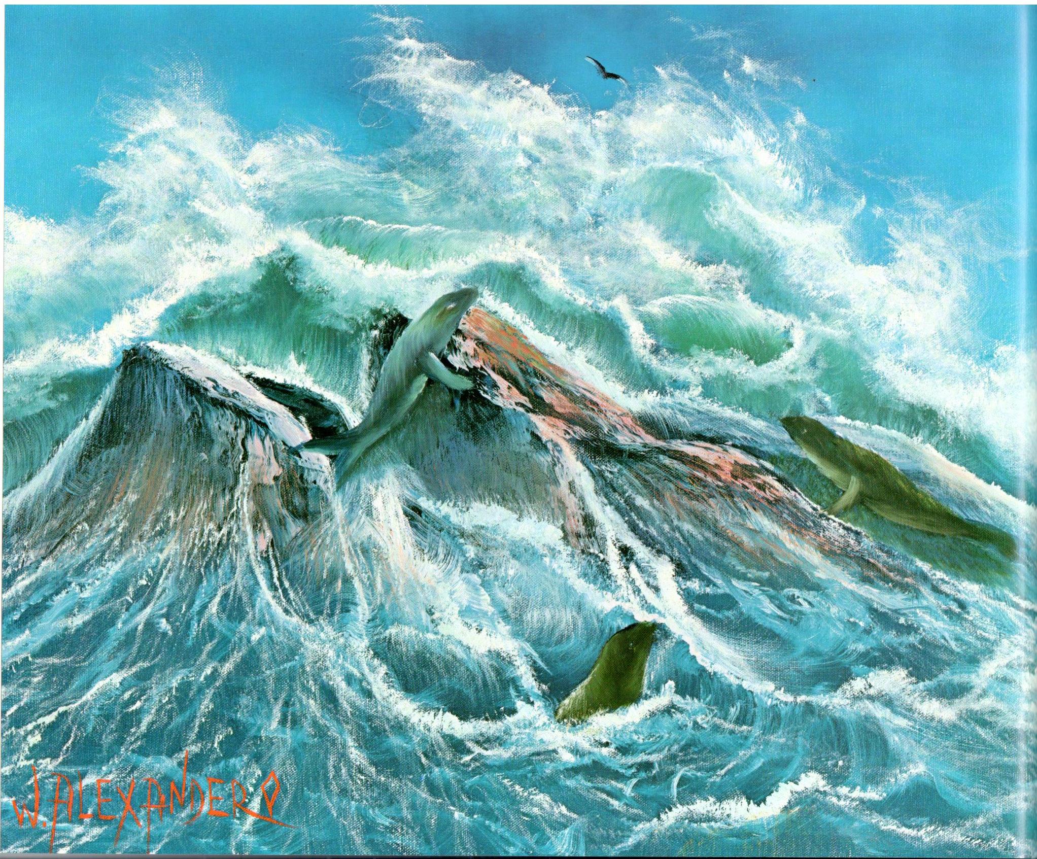The Magic of Oil Painting II - W. Bill Alexander