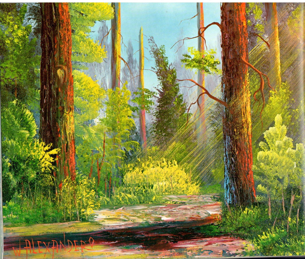 The Magic of Oil Painting II - W. Bill Alexander