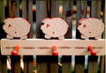 Three Little Piglets - Anne Bliss and Grace Caudill