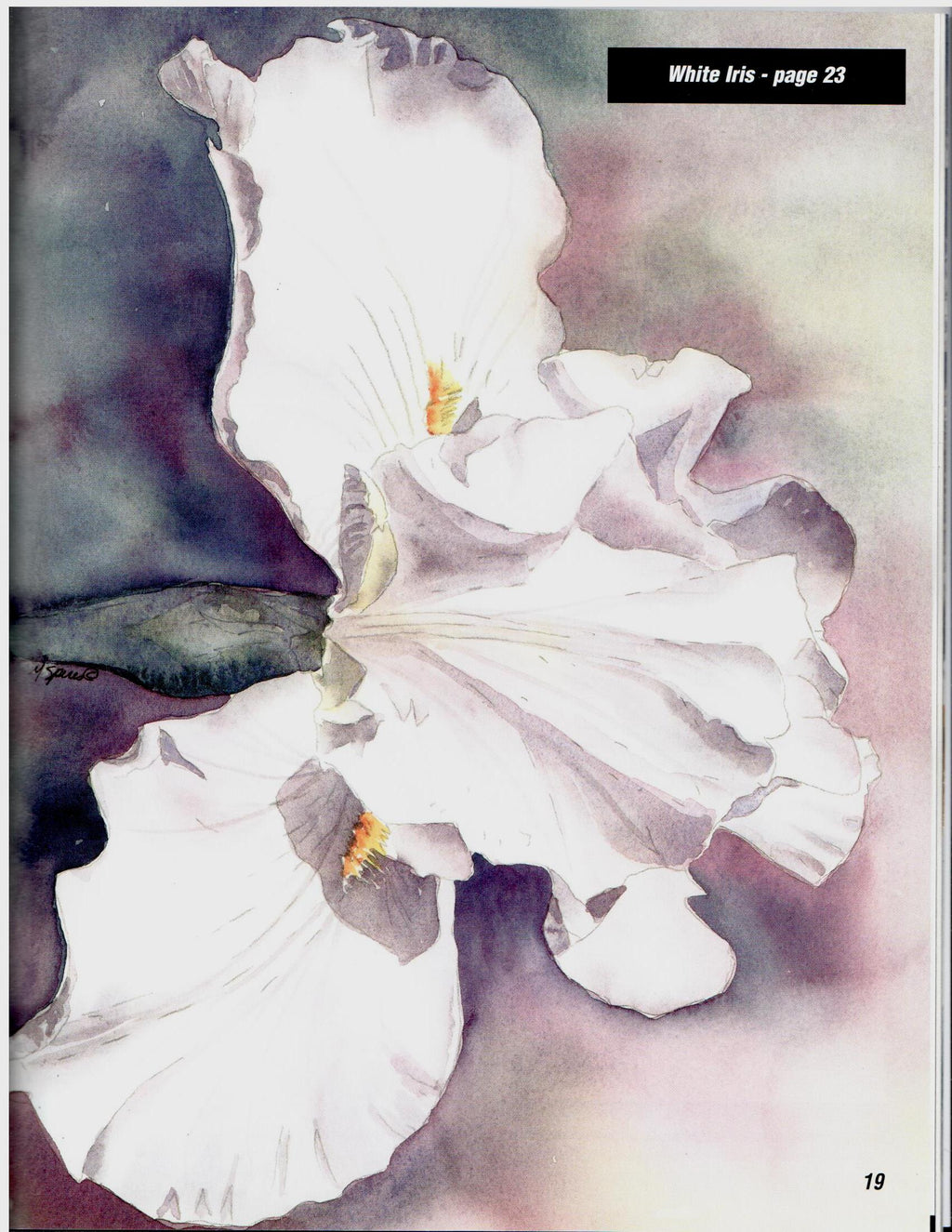 Transparent Watercolors florals - Mary Spires