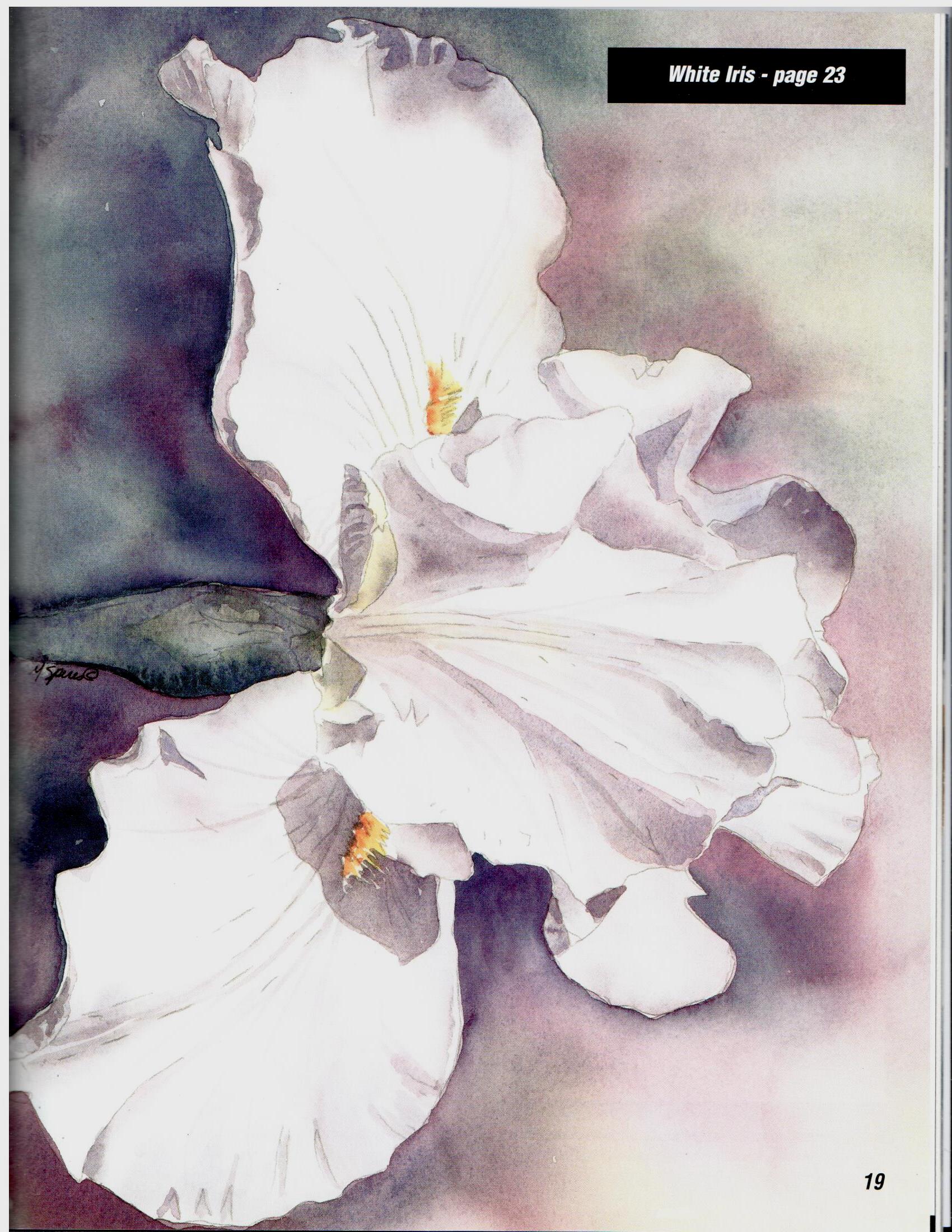 Transparent Watercolors florals - Mary Spires
