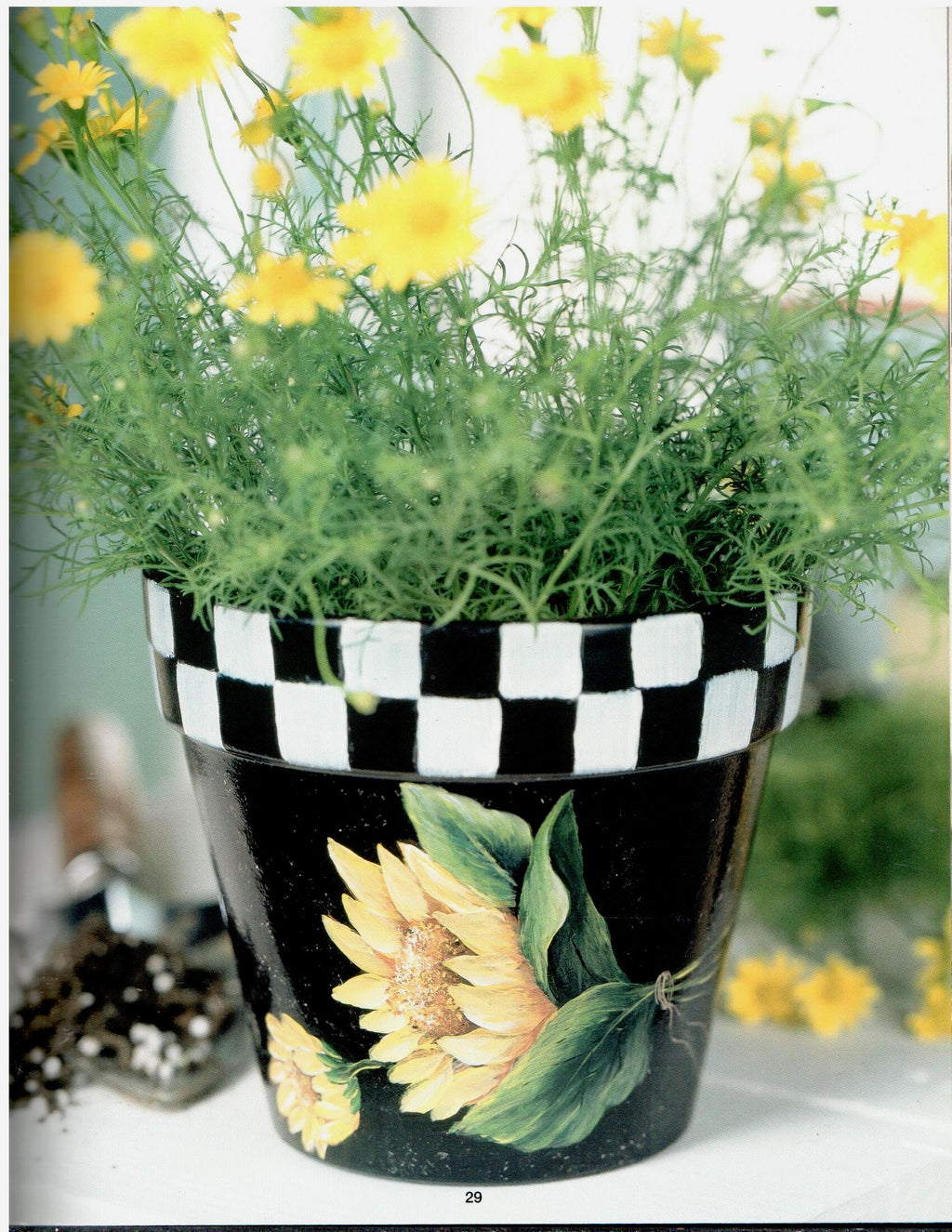 Very Pretty Vases - Sue Bailey - OOP