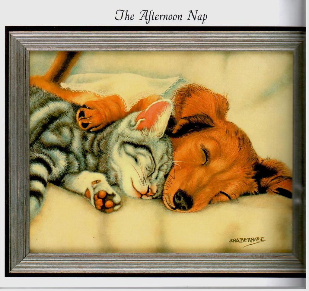 A World of Animals Vol. 6 - Ana Bernabe - OOP