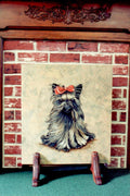 Yorkshire Terrier - Janette Bullman
