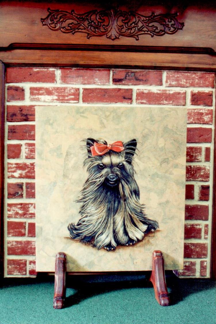 Yorkshire Terrier - Janette Bullman