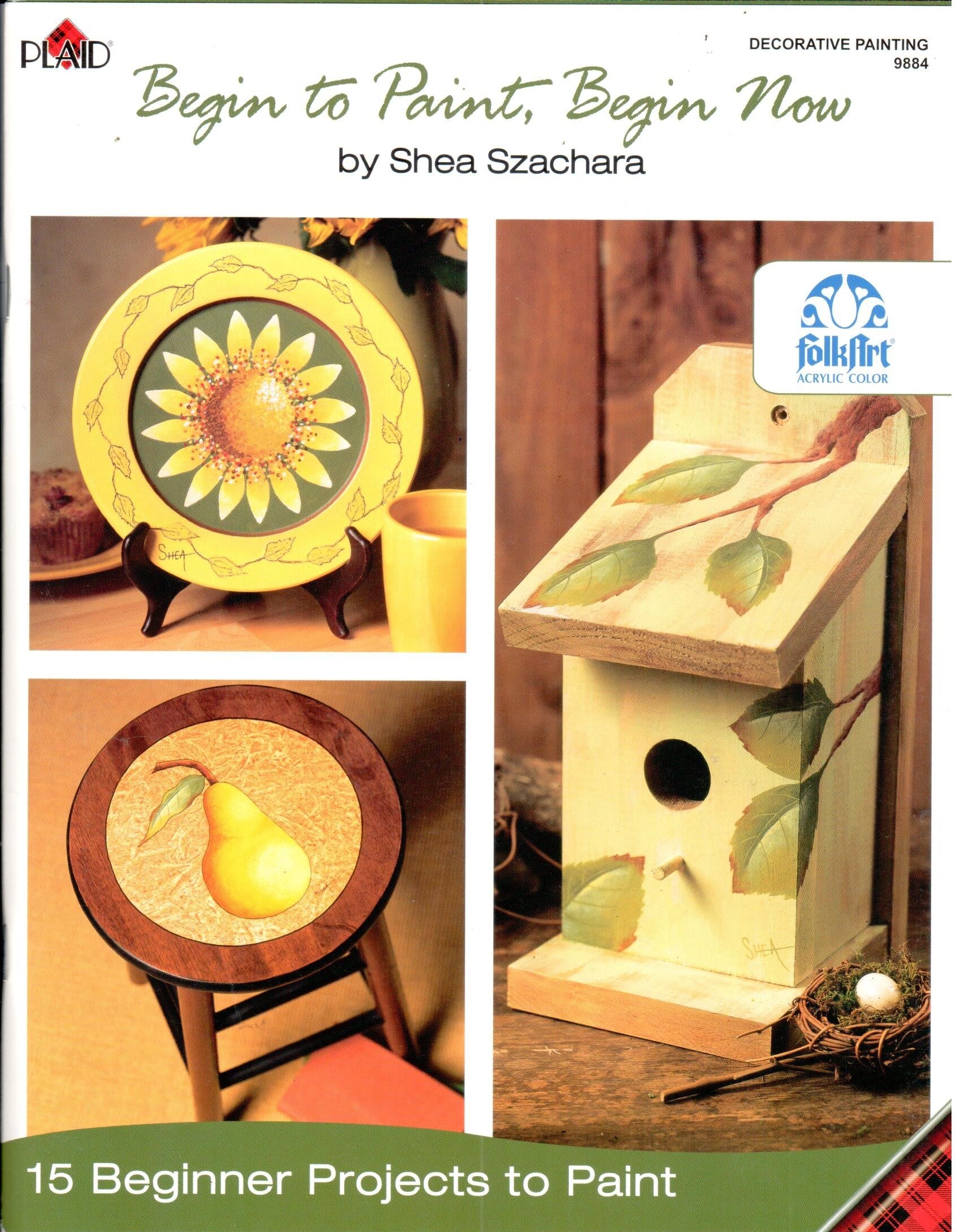 Begin to Paint, Begin Now - Shea Szachara