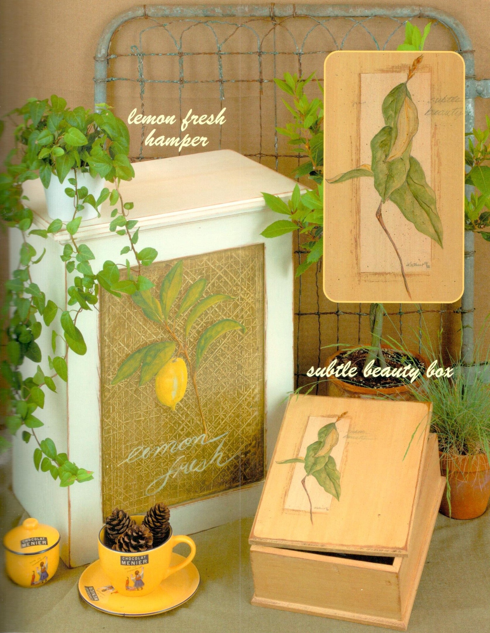 CLEARANCE: Finding Clarity - Kathy Ross