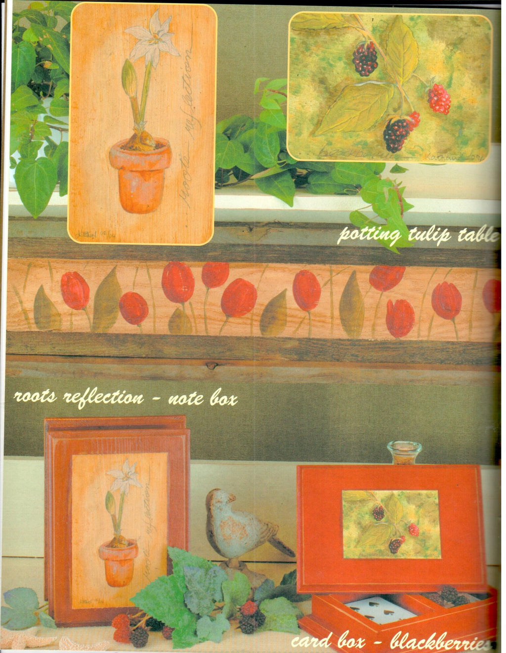 CLEARANCE: Finding Clarity - Kathy Ross