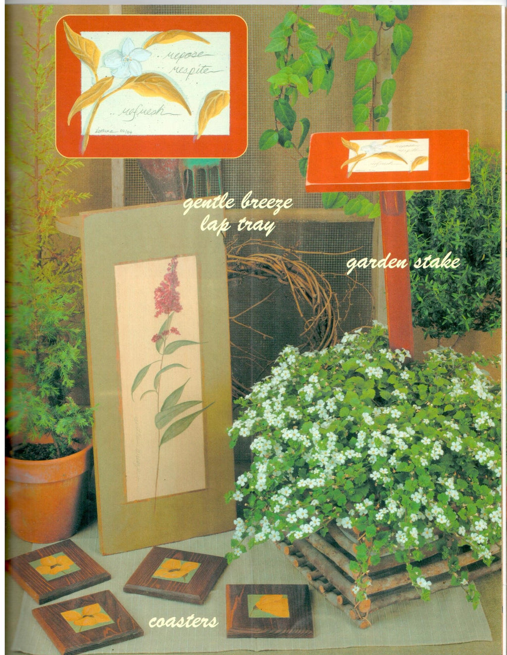 CLEARANCE: Finding Clarity - Kathy Ross