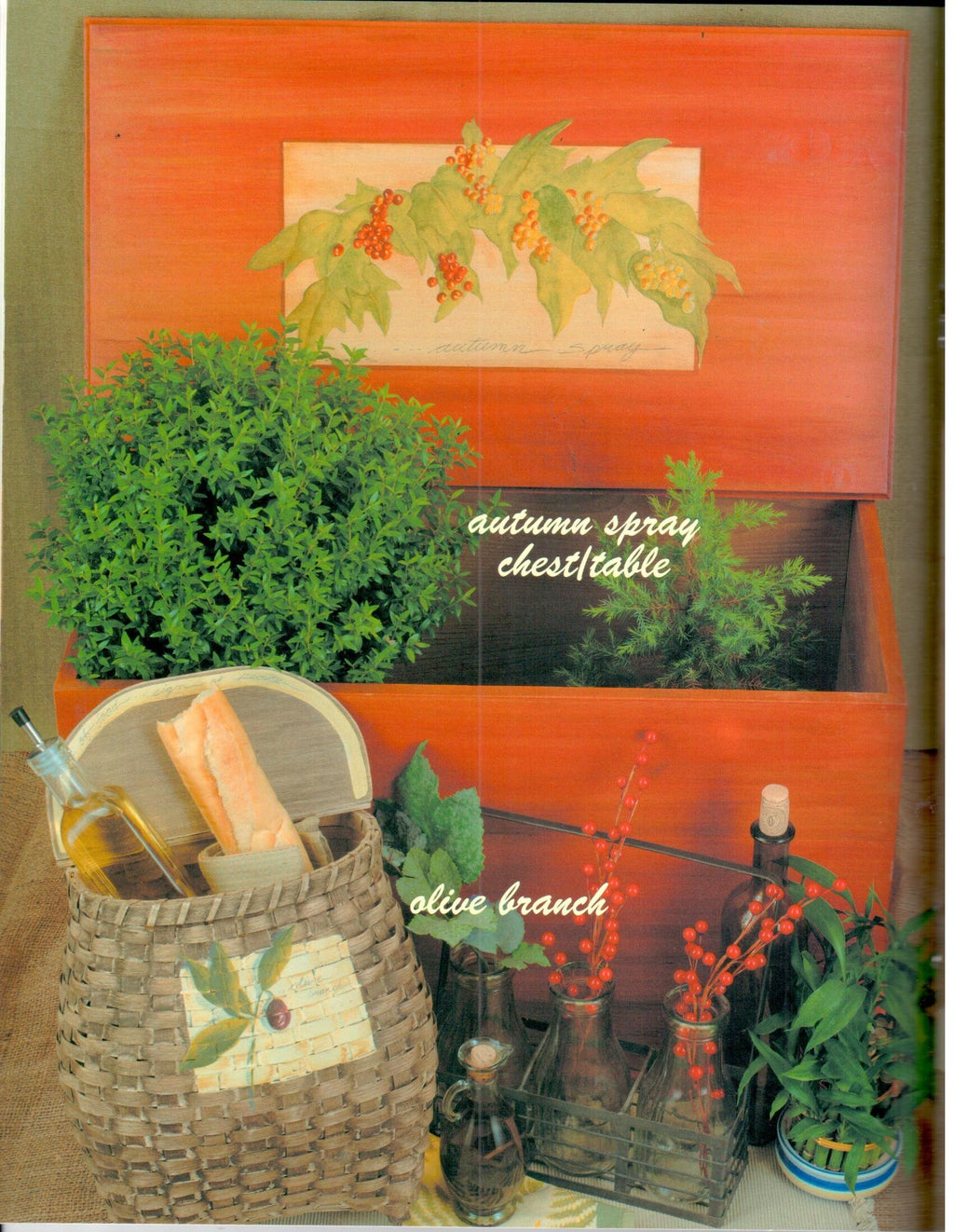 CLEARANCE: Finding Clarity - Kathy Ross