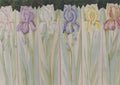 Iris Screen #47-95 - Delane Lange
