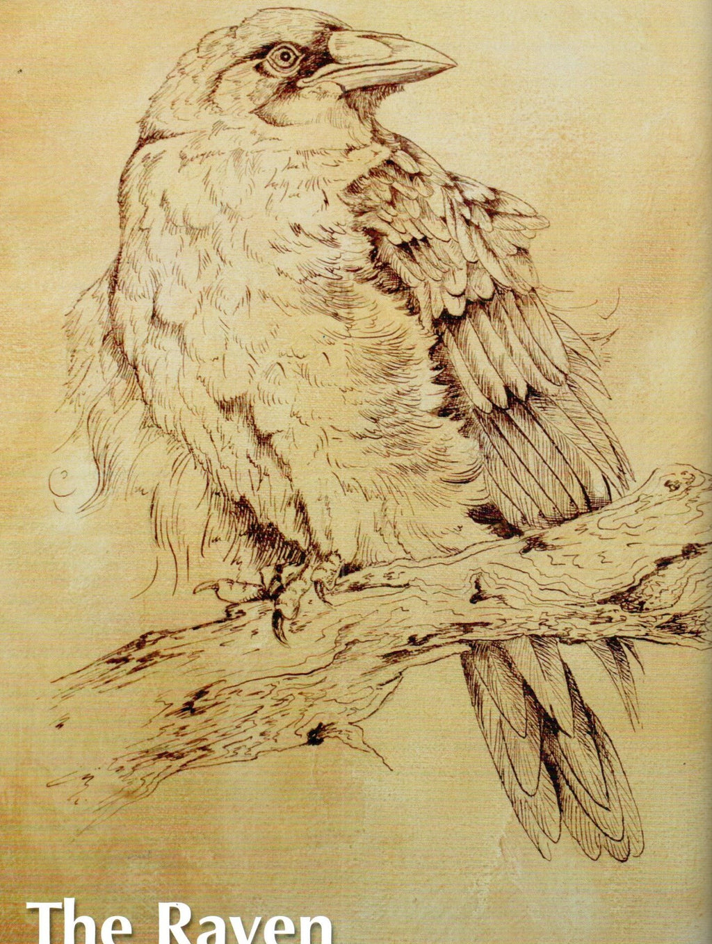 Painting Home Decor - Willow Wolfe
