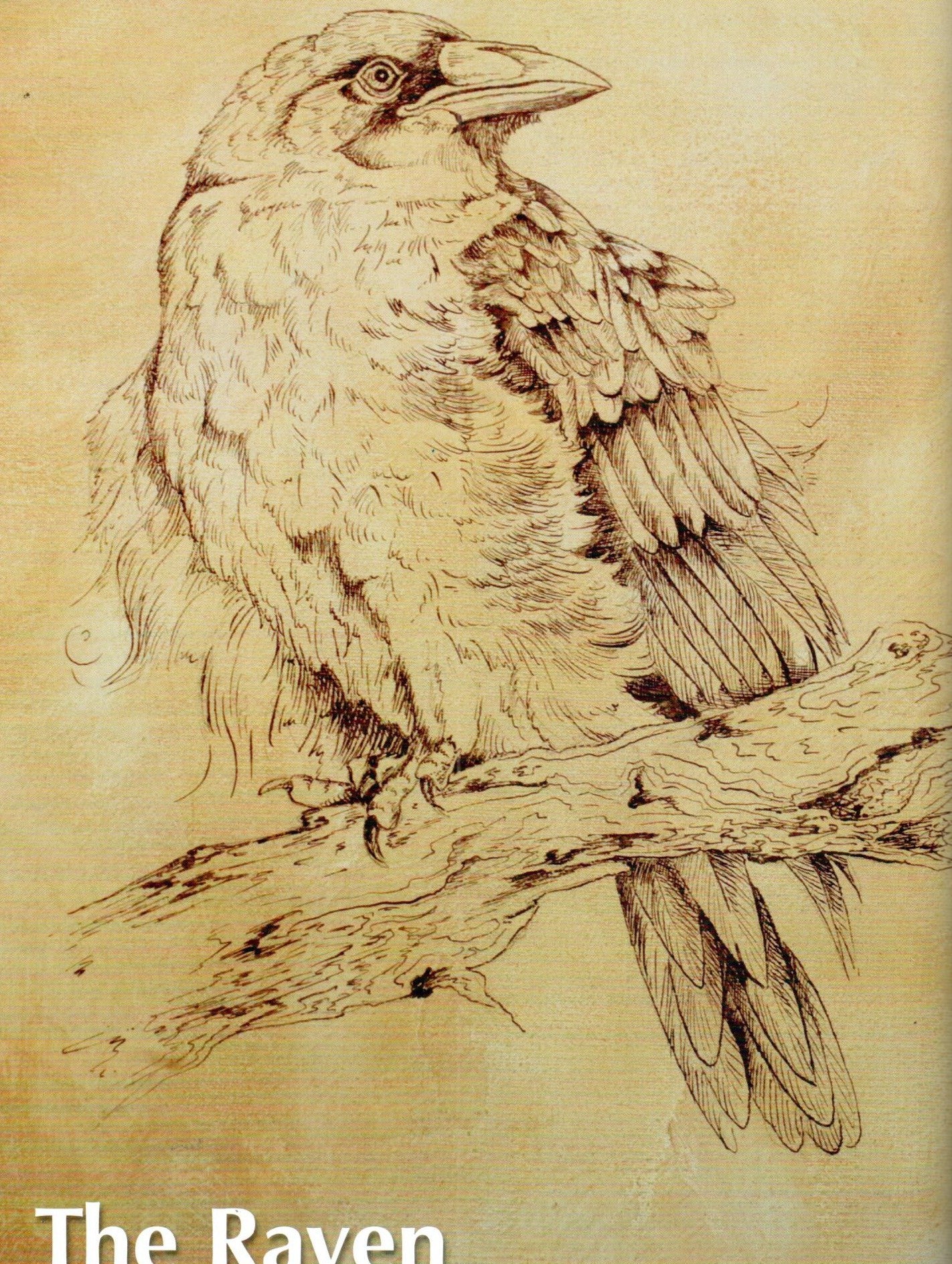 Painting Home Decor - Willow Wolfe