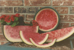 Watermelons -  Brenda McPeek