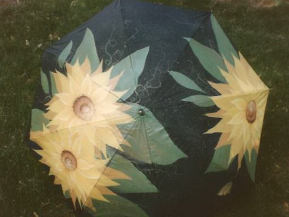 You Are My Sunshine - Maureen Jacques