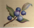 Blueberry & Leaf Laminated Technique Sheet - Roxanne Pulchalski