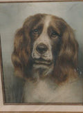 Springer Spaniel # 19 - Vi Thurmond