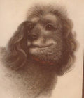 Spicy Black Poodle #13 - Vi Thurmond