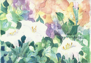Watercolor #31208 - Jeanniene