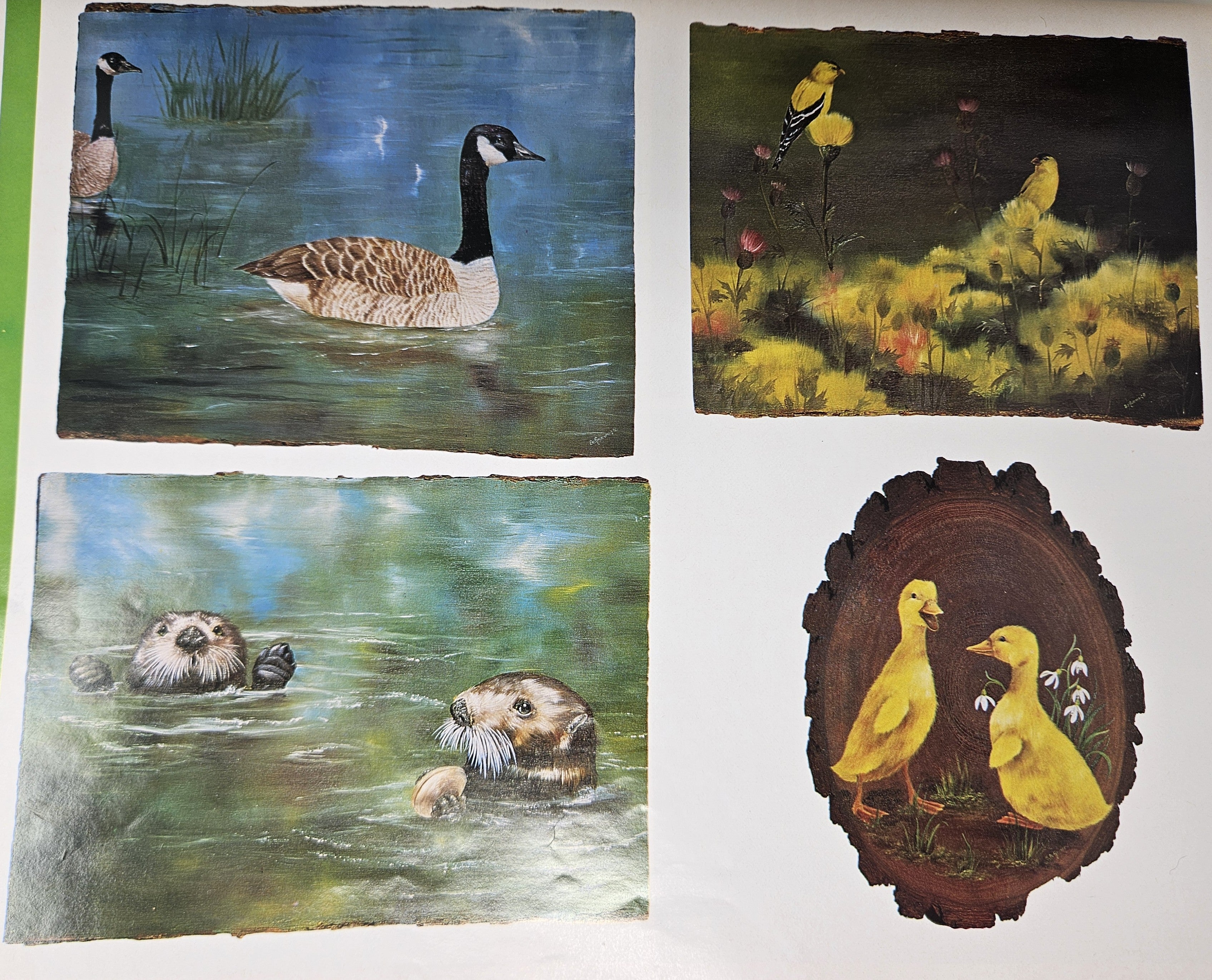 CLEARANCE: I Love to Paint Vol. 11 - Susan Scheewe