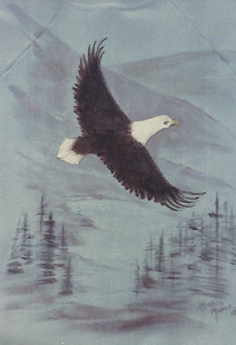 Flying High - Phyllis Maurer