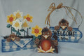 Welcome Spring Robin - Brenda Ann Oveson