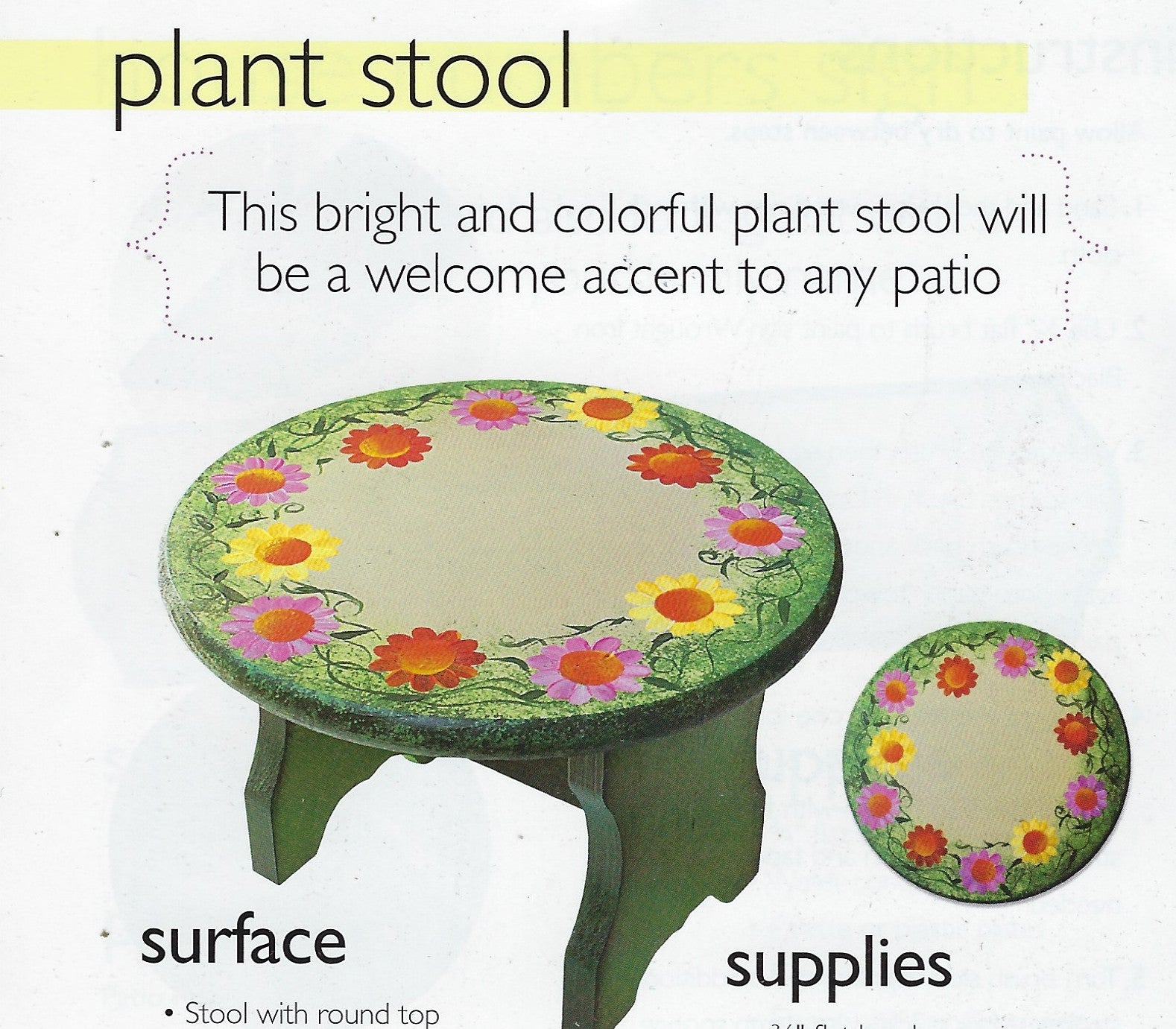CLEARANCE: DecoArt Outdoor Decor with Jean Kievlan (DAS202)