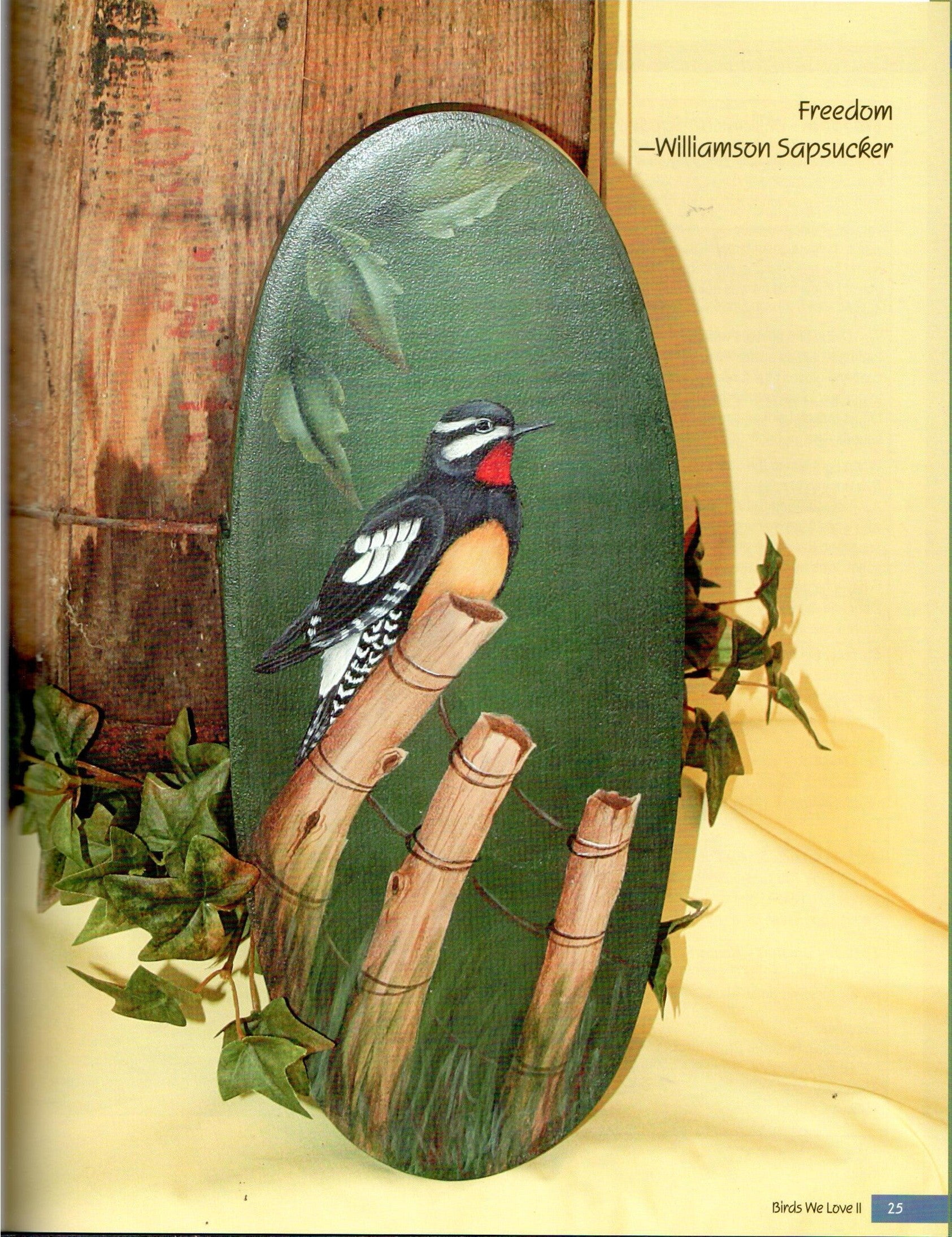 Birds We Love Vol. 2 - Nancy Dale Kinney - OOP
