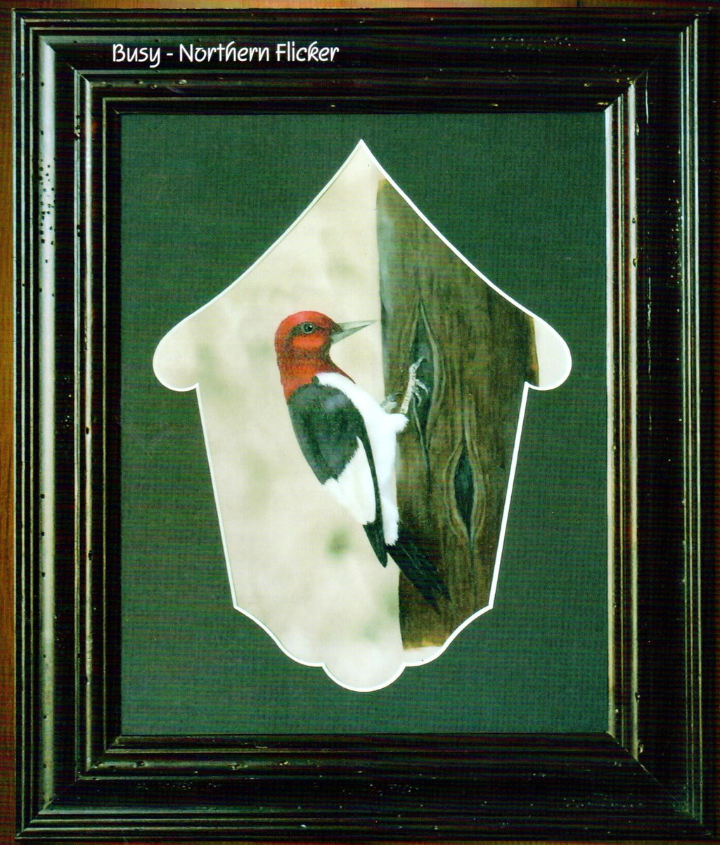 Birds We Love Vol. 2 - Nancy Dale Kinney - OOP
