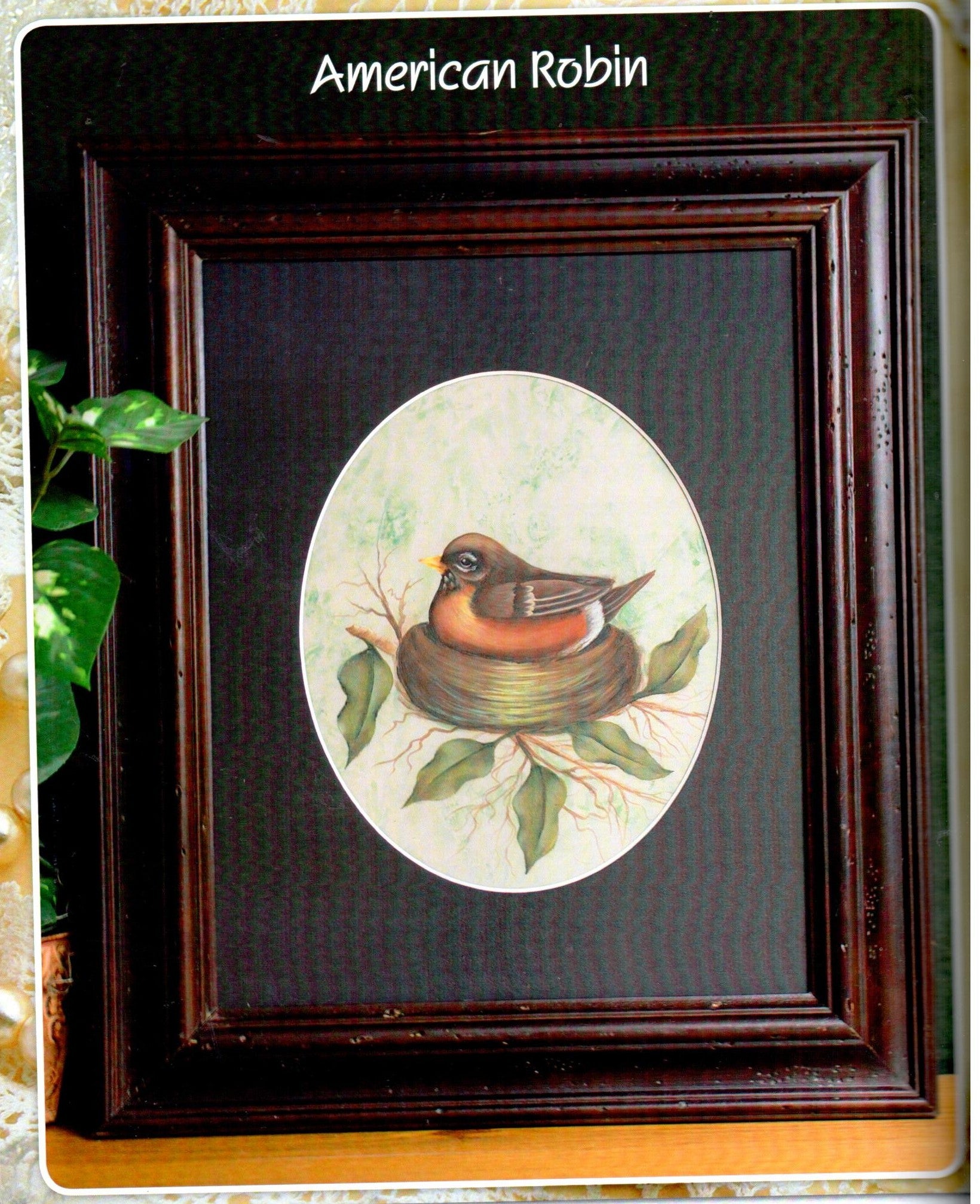 Birds & More We Love Vol. 4 - Nancy Dale Kinney Stout