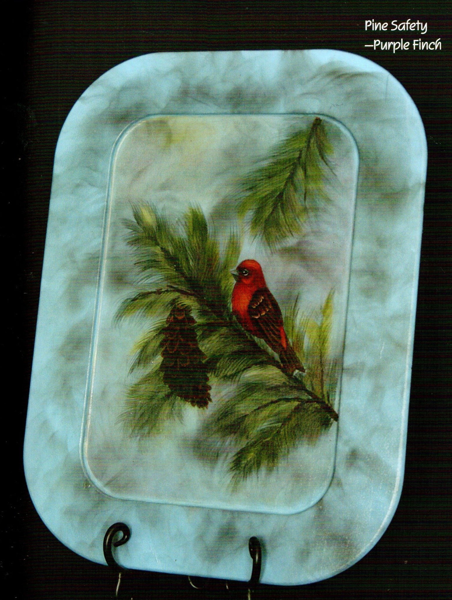 Birds We Love Vol. 2 - Nancy Dale Kinney - OOP