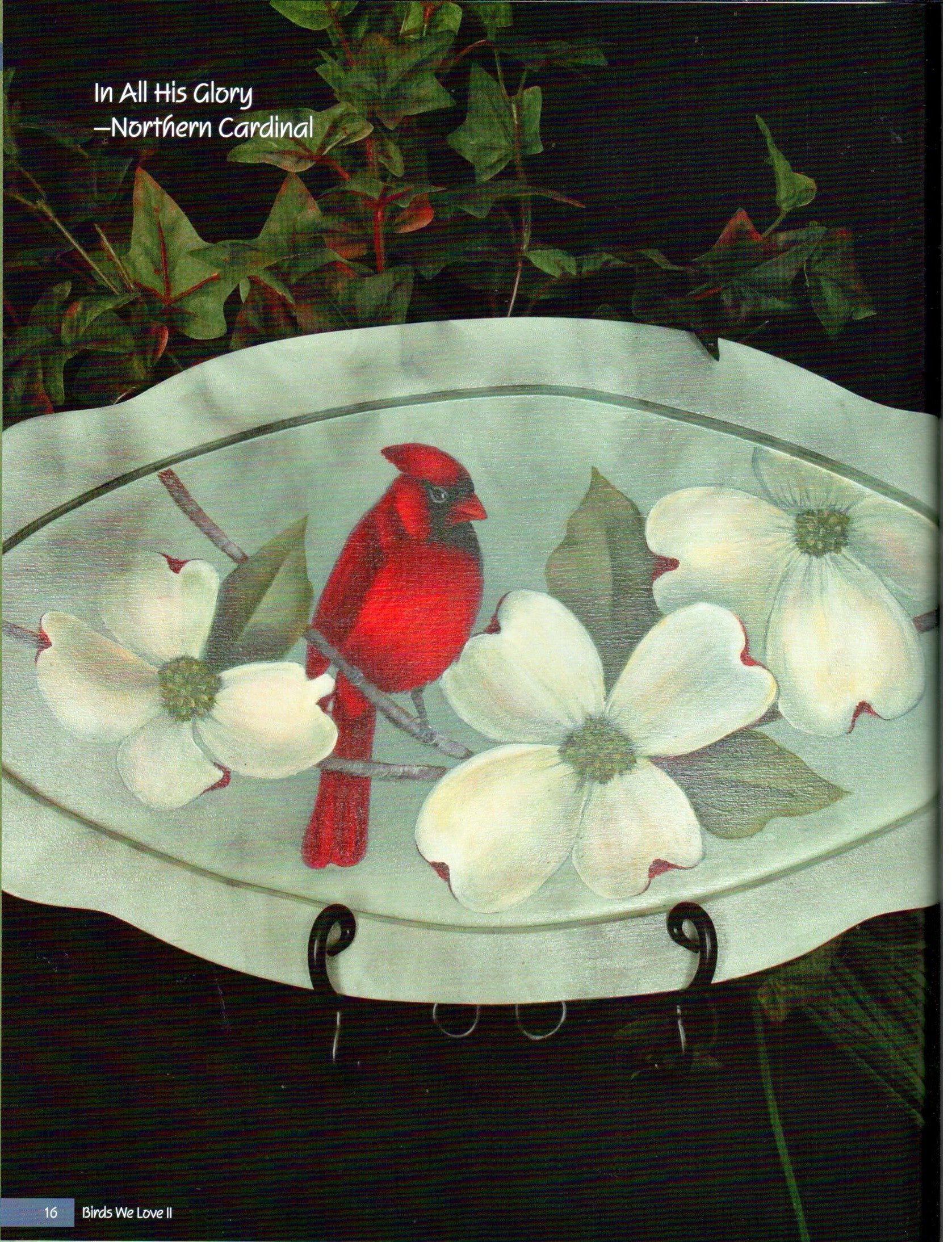 Birds We Love Vol. 2 - Nancy Dale Kinney - OOP
