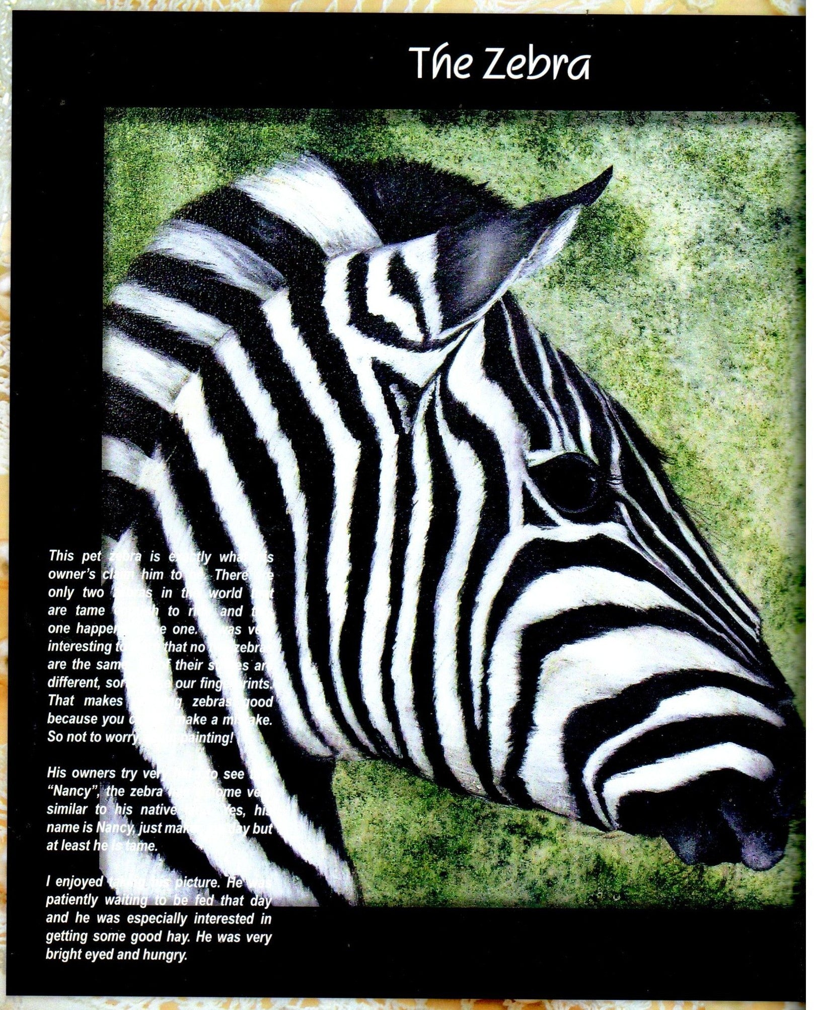 Birds & More We Love Vol. 5 - Nancy Dale Kinney-Stout