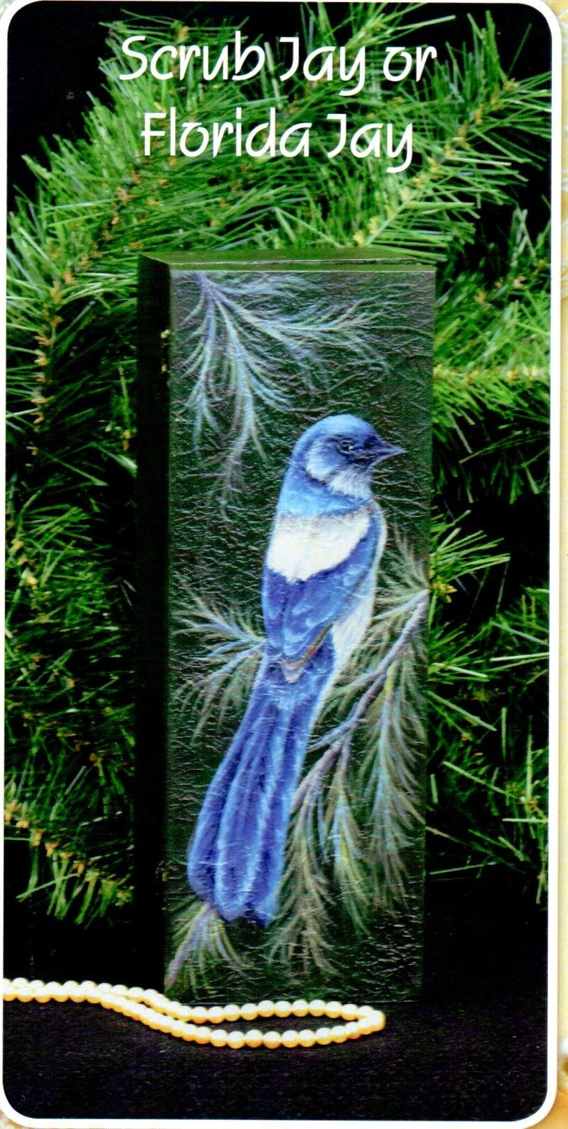 Birds & More We Love Vol. 5 - Nancy Dale Kinney-Stout