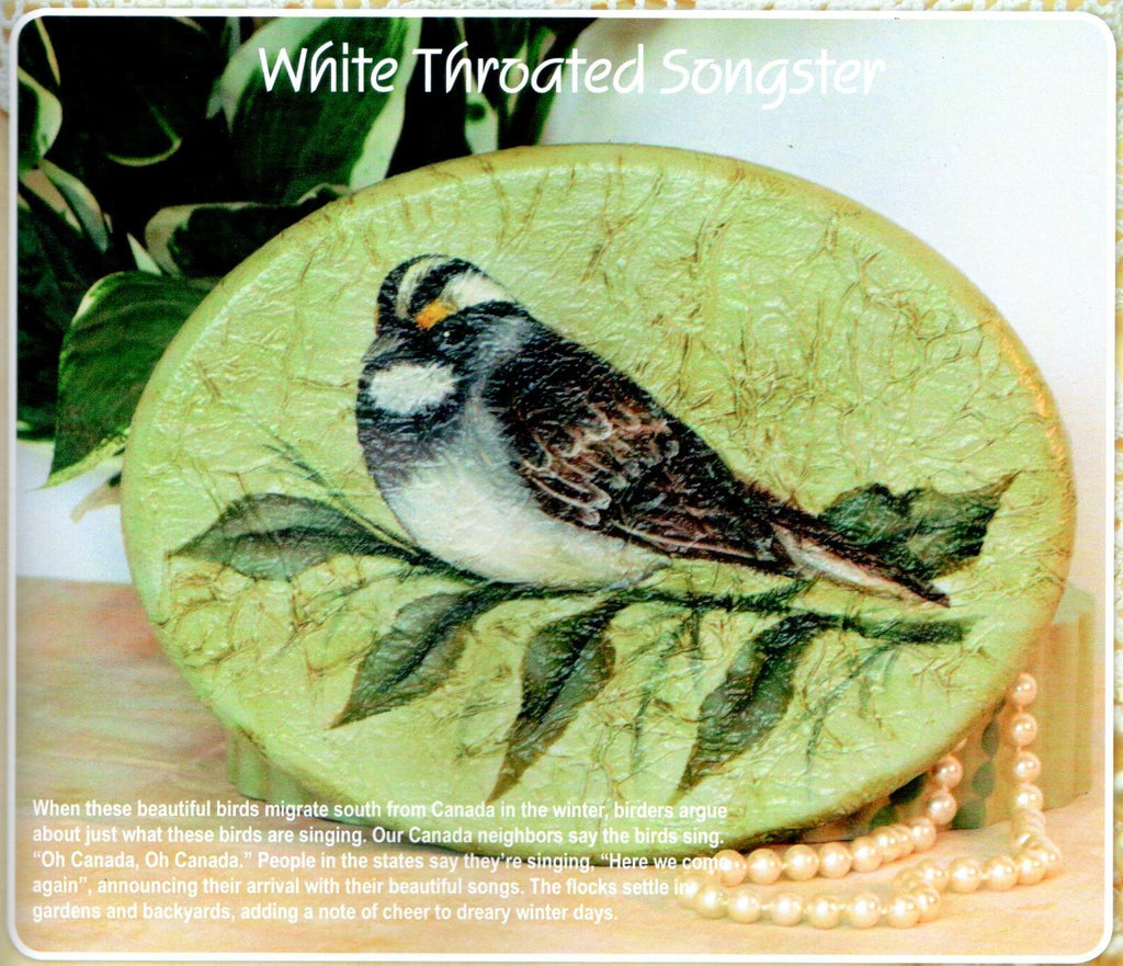 Birds & More We Love Vol. 5 - Nancy Dale Kinney-Stout