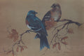 Lazuli Buntings - Sherry Nelson