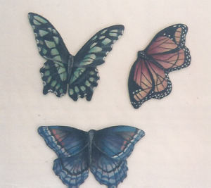 The Three Butterflies - Angela Smith Fisher