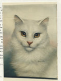 White Angora - Vi Thurmond # 24