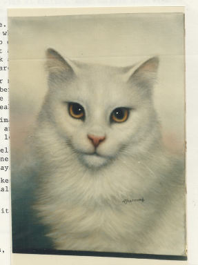 White Angora - Vi Thurmond # 24