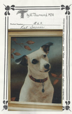 Rat Terrier - Vi Thurmond # 62
