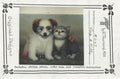 Pup and Kitten - Vi Thurmond # 67