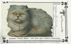 Blue Cream Persian - Vi Thurmond CO16