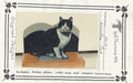 Winston Cat - Vi Thurmond ACR1