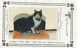 Winston Cat - Vi Thurmond ACR1