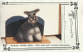 Schnauzer - Vi Thurmond ACR2