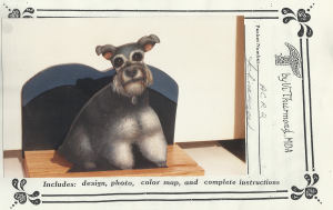 Schnauzer - Vi Thurmond ACR2
